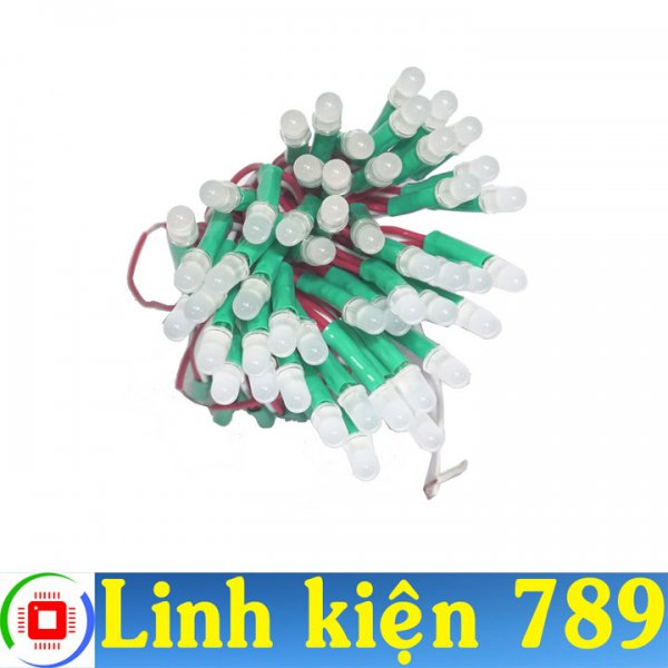 LED dây 5mm 100 bóng xanh lá